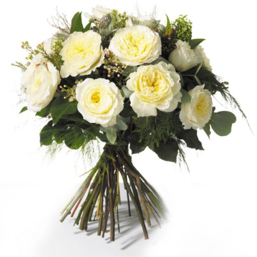 Avalanche Rose Collection